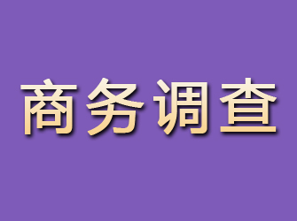 柘城商务调查